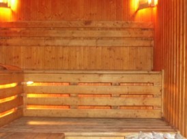 Finnish sauna "Selena"
