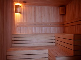 Sauna "Prestige"