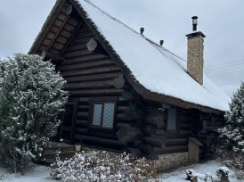 Spruce house with a bath and a swimming pool