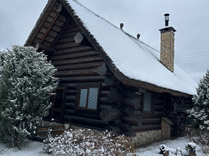 Смерековий будинок з банею та басейном