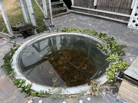 Slovianska bath