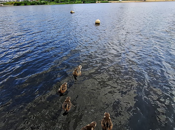 Баня «Венеция»