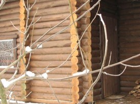 Русская баня «на Радивиловской»